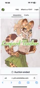 Leopard teacher