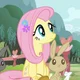 Fluttershy
