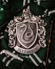 Slytherin boys