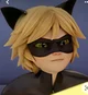 Cat noir