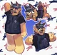 Bluey officer