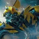 Bumblebee -bv-