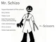 Mr schizo