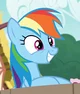 Rainbow Dash