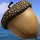 Acorn