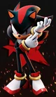 Shadow The Hedgehog