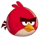 Red Angry birds-W-