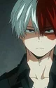 Shoto Todoroki 