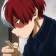 Shoto Todoroki 
