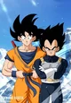 Goku And Vegeta