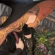 Curious witch