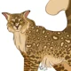 LeopardStar