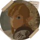 Link - botw