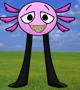 Kinitopet