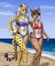 Cheeta and fox