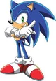 Sonic the hedgehog