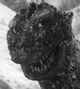 Godzilla 1955