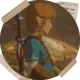 Link - botw