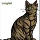 Longtail