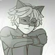 Cat Noir