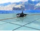 Orca 