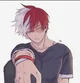Shoto Todoroki 