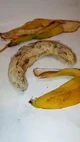 Lab banana