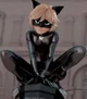 Cat Noir 