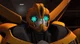 2-Bumblebee-TFP
