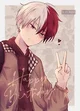 - Shoto Todoroki -