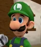 Luigi - SMG4