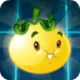 Solar Tomato