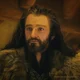 Thorin Oakenshield