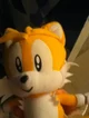 Tails nordestino 