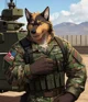 Furry Military Base