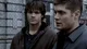 Los Winchester 