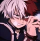 Shoto Todoroki