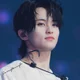 Lee Mark