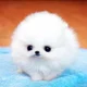 Child Sky Fluffball