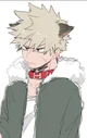 Katsuki Bakugou 