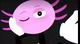 KinitoPet