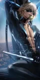 CAT NOIR