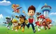 Mighty paw patrol