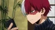 Shoto Todoroki