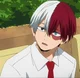 Shoto Todoroki