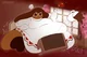Big Cocoa Cookie