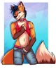 Kiro The Fox