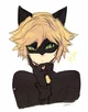 Cat Noir 
