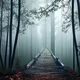 Bridge to Terabithia