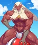 Leo The Blaziken